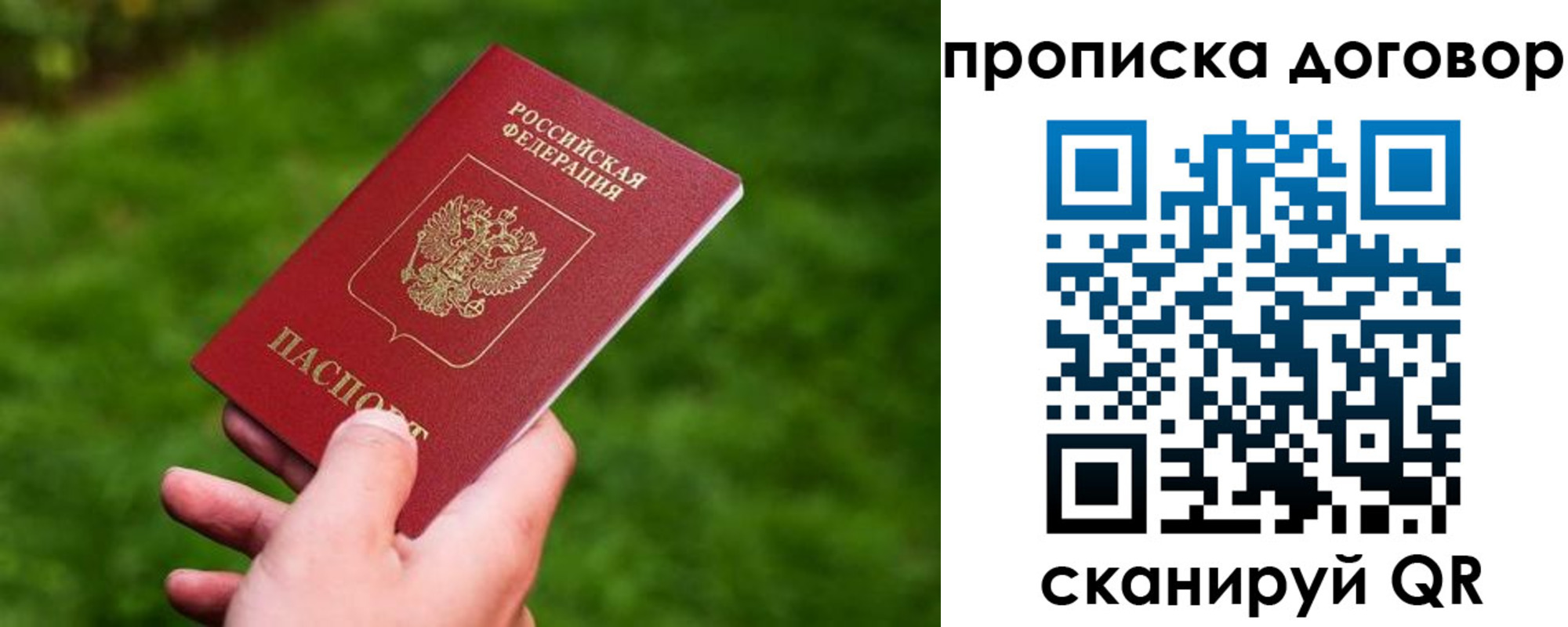 прописка гарантия в Заволжье